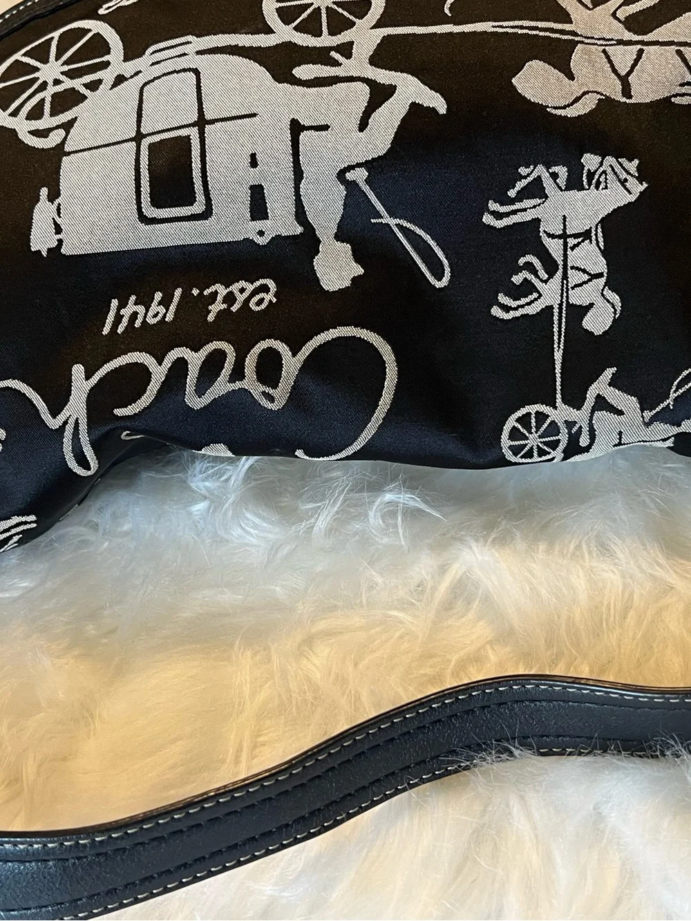 Coach hobo bag